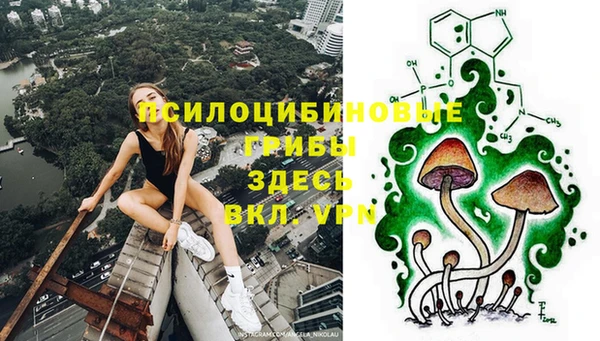 гашик Приозерск