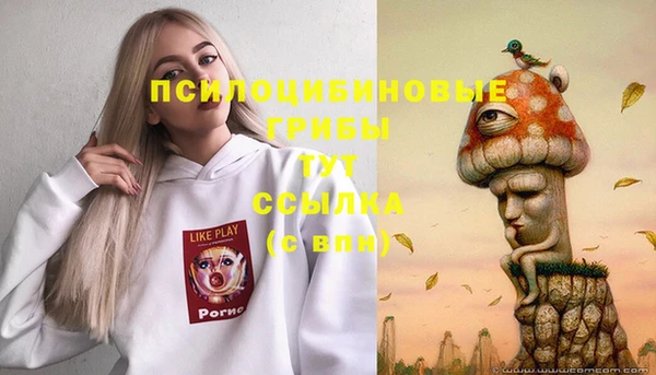 гашик Приозерск