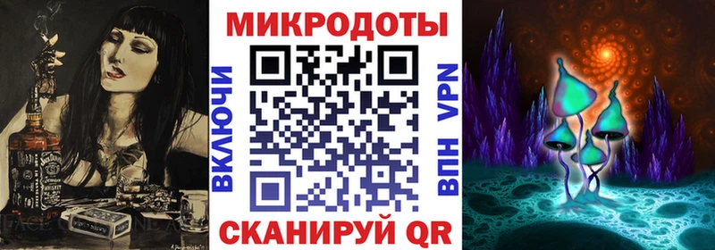 Галлюциногенные грибы Psilocybe  Гусиноозёрск 